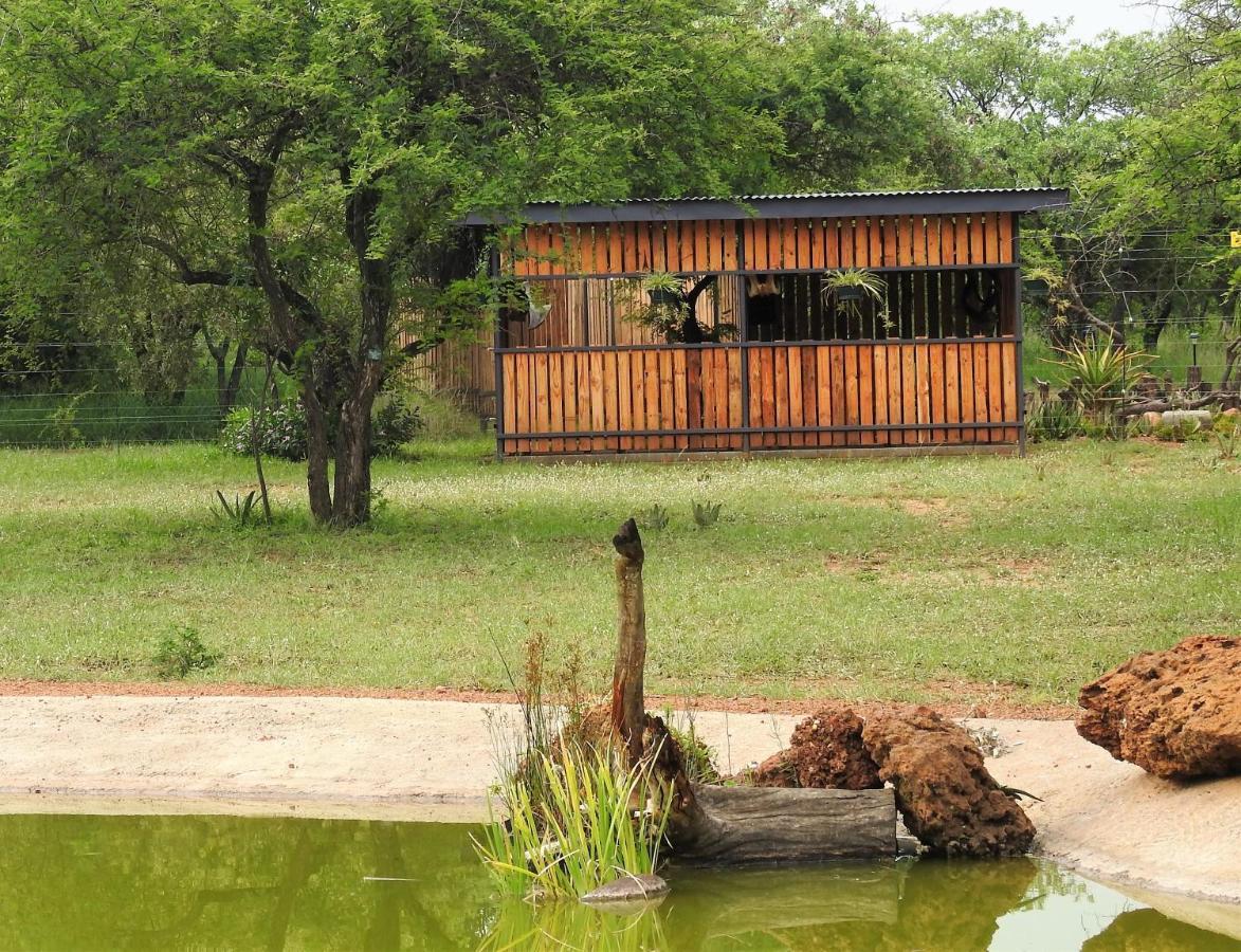Marulani Bush Lodge Klipdrift المظهر الخارجي الصورة