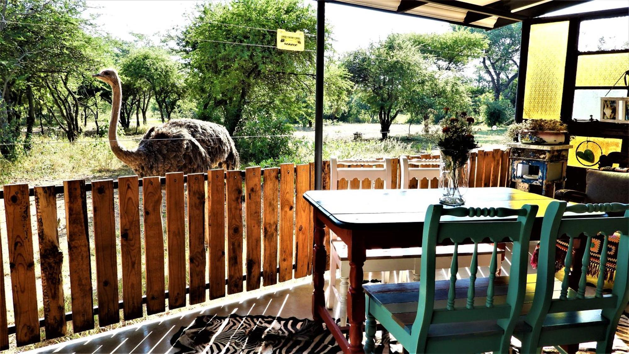 Marulani Bush Lodge Klipdrift المظهر الخارجي الصورة